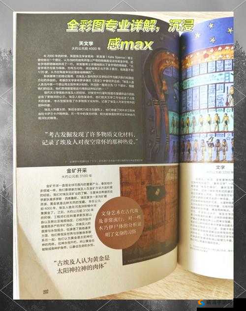 探索370西方大但人文艺术的独特魅力：历史、文化与当代影响的全方位解析