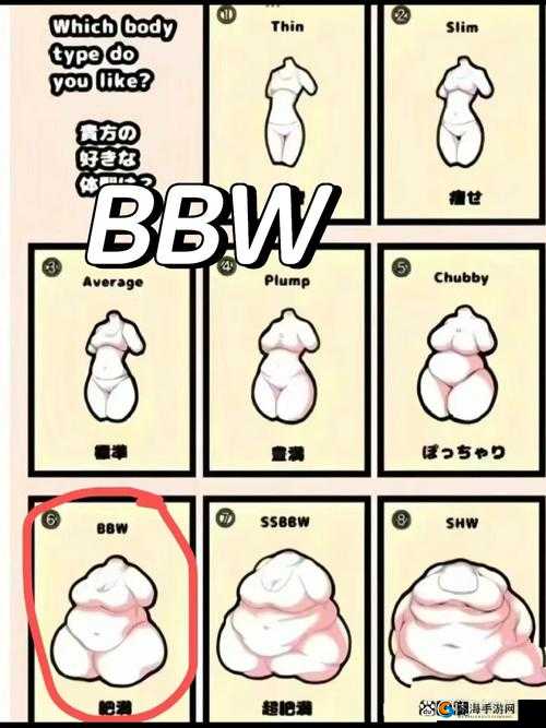 什么是 BBWBBWBBWBBW？它有什么特点和魅力？
