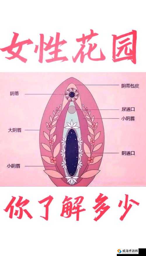 女人被添荫蒂舒服吗？揭秘女性体验与感受的真实反馈与讨论