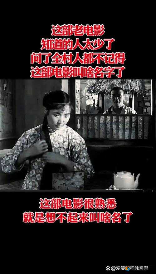 老妇女一级看片：经典影片回顾与情感共鸣，探讨电影中的深刻人生哲理与时代印记