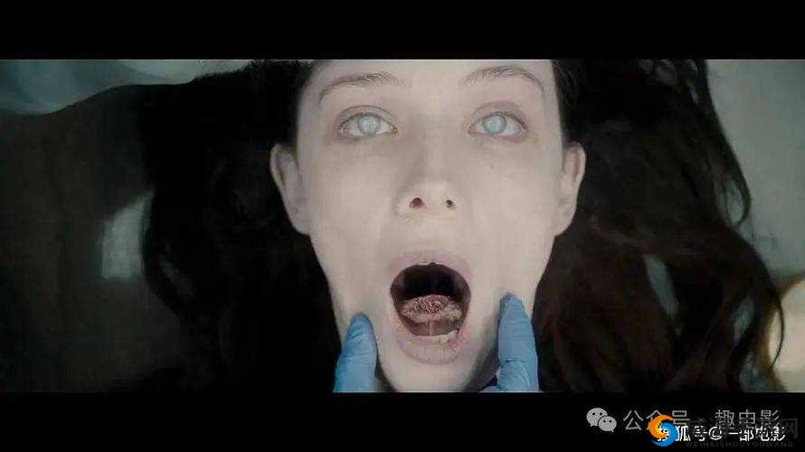 日韩精品无码一：探索高清无码影片的视觉盛宴与独特魅力