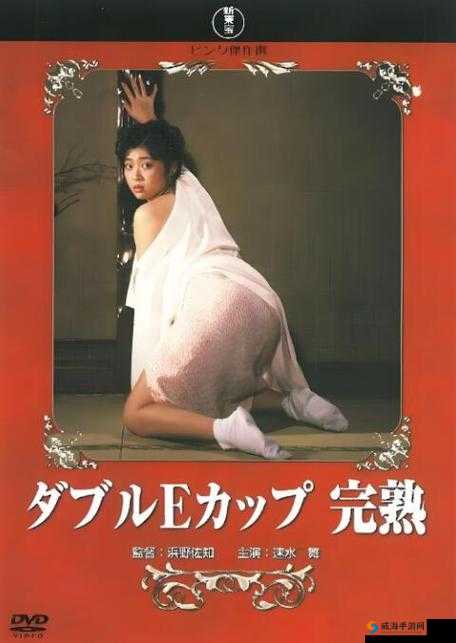 日本 XXX 九色视频在线观看：探寻日本成年人影片的奥秘