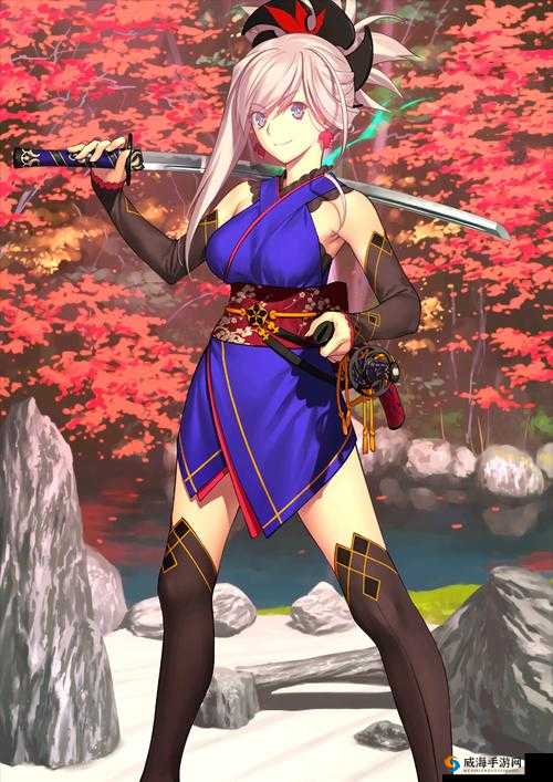 FGO宫本武藏剧情深度解析及实战攻略，幕间二之门剧情介绍