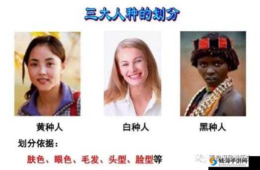 白人与黄种人生理差异解析：从基因到体质，为何存在如此显著的差别？