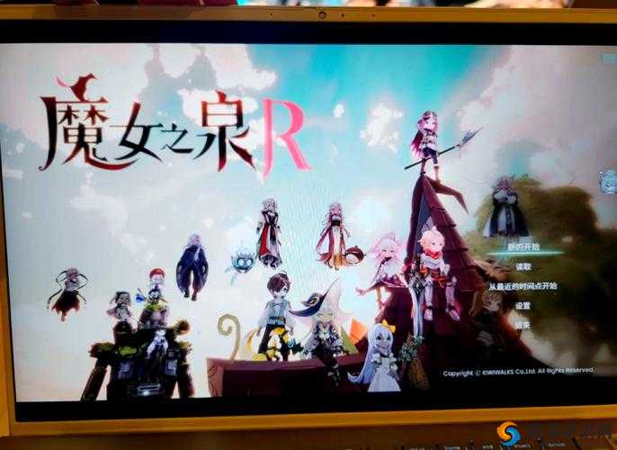 魔女之泉2忍者猫怎么打，忍者猫打法攻略介绍