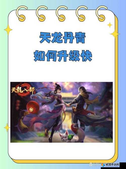 天龙八部手游升级攻略，高效管理与快速升级技巧的深度解析