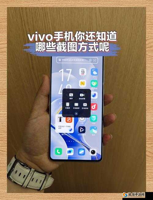 如何下载免费的 vivo 版软件 3.0.3 破解版？