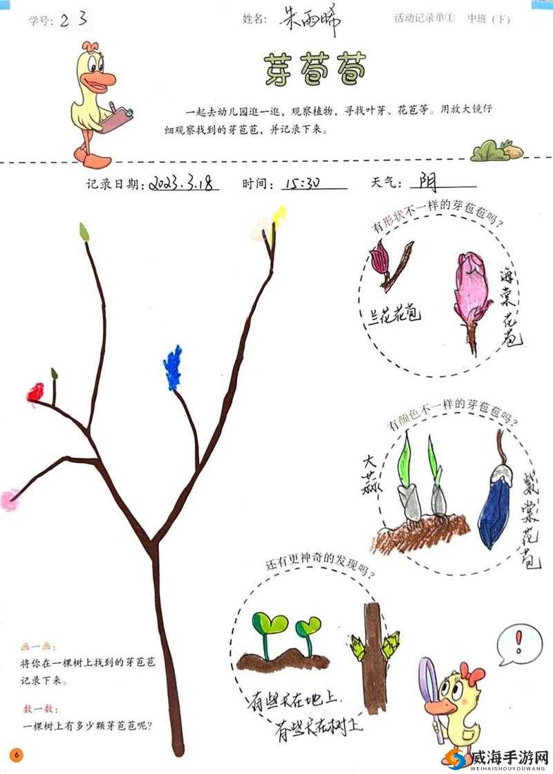 光秃秃的小嫩苞H：探索其独特魅力与生长奥秘，揭秘自然界的奇妙现象