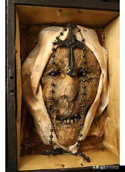 这是什么鬼？阴森恐怖的人头标本图片，你敢看吗？