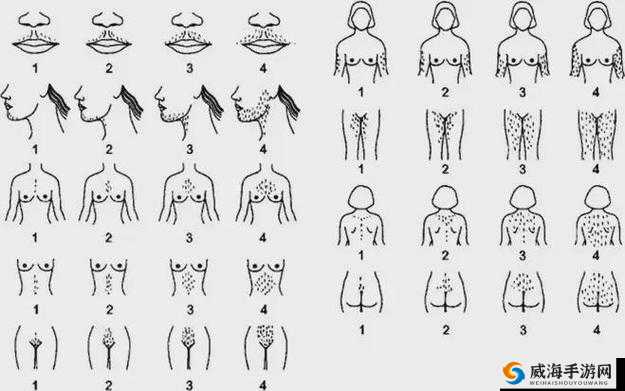 成熟多毛女教师的私密生活为什么成熟女性的阴毛会变得浓密？多毛熟女的私密部位为何如此迷人？