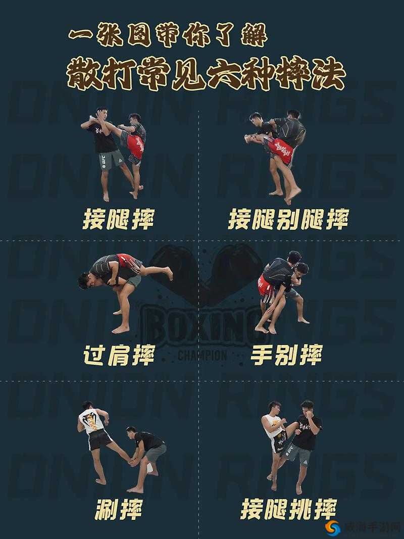 情侣格斗技巧pdf：情侣间如何提升格斗技巧？这里有详细指南