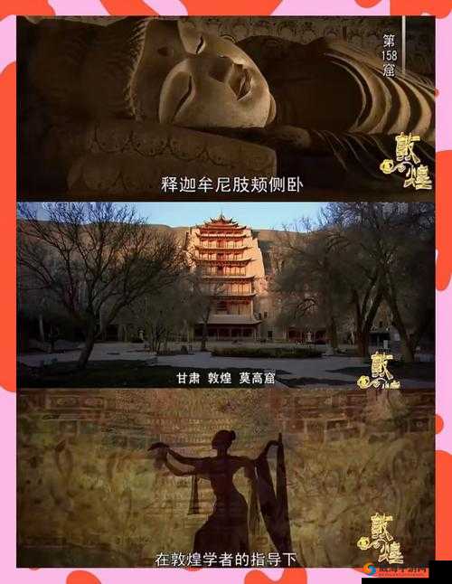 大但人文在线观看免费播放：探索深度人文纪录片，感受历史与文化的震撼魅力