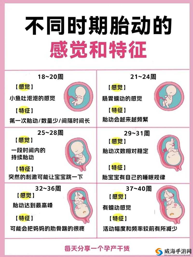 孕妇怀孕几个月有胎动？这些症状你需要注意