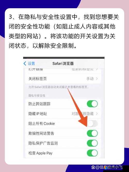 如何在IE浏览器中安全解除阻止插件，确保浏览体验顺畅无忧？