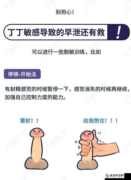 龟敏度训练方法图解：掌握高效训练技巧，提升训练效果与健康水平