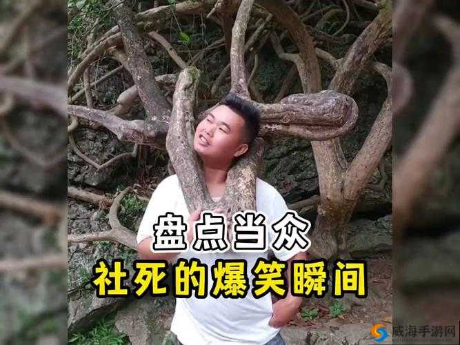 恃级肥婆BBBBBBBBB搞笑视频合集：网友热议的爆笑瞬间与幕后花絮大揭秘