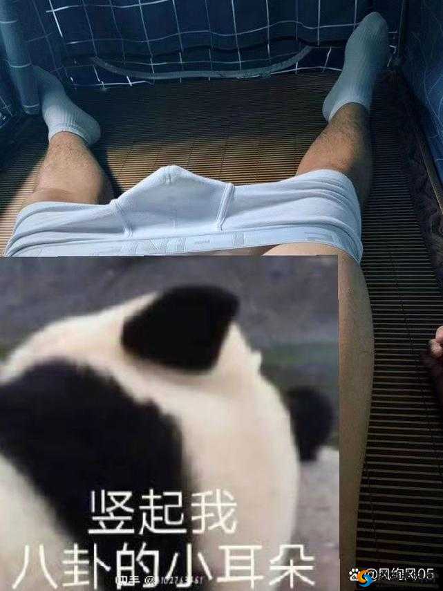 男人与狍交视频免费看，这是真实的吗？