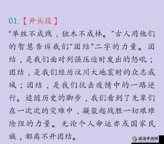 大团结闪闪发光全文免费阅读目录：全面解析大团结精神，闪耀时代光芒的必读指南