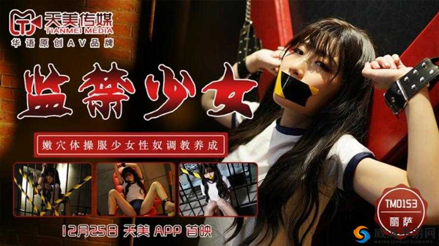 天美ChineseXXXXHD高清画质体验：如何通过这款游戏感受最真实的东方美学？