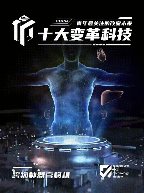 张津瑜去哪儿了？网友热议其最新动态与未来计划引发广泛关注