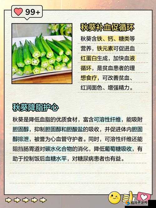 2023年热门果蔬盘点：樱桃丝瓜绿巨人秋葵香蕉的营养价值与健康益处全解析