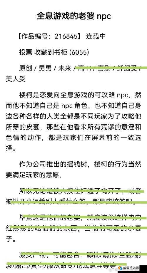 全息游戏美人 Xb 的开发日常 np 究竟是怎样的？探秘其背后精彩故事