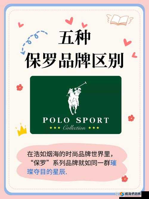 1980 美式保罗 2 究竟是什么？为何它如此受关注？快来一探究竟