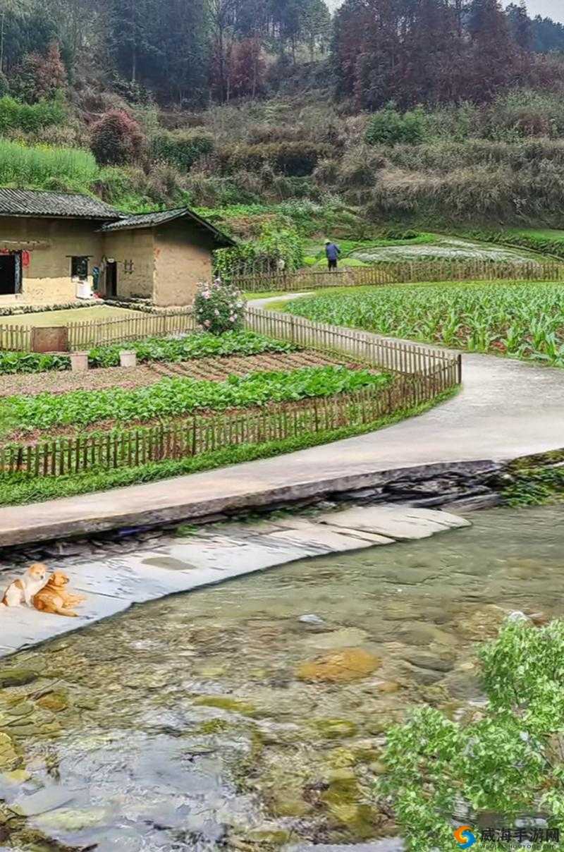 在乡村，你会发现什么奇特的景象？