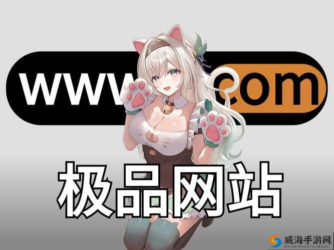 哇塞这个网站真的有那么神奇吗？www.vip168.aqd.cn 究竟隐藏着什么秘密？