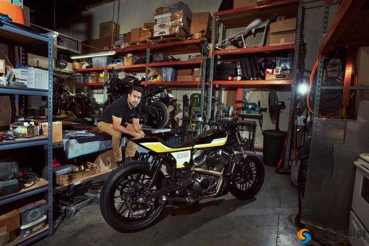 街头篮球手游哈雷紧身裤怎么样 哈雷紧身裤图鉴介绍——演变史专题