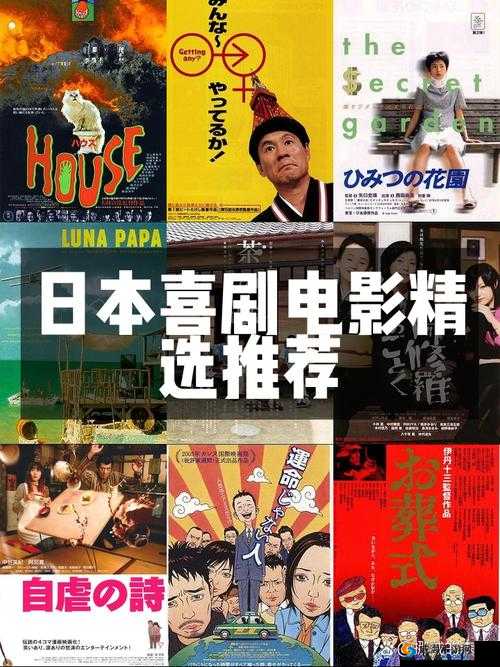 探索日本特色文化，了解日本成年人影片产业的背后