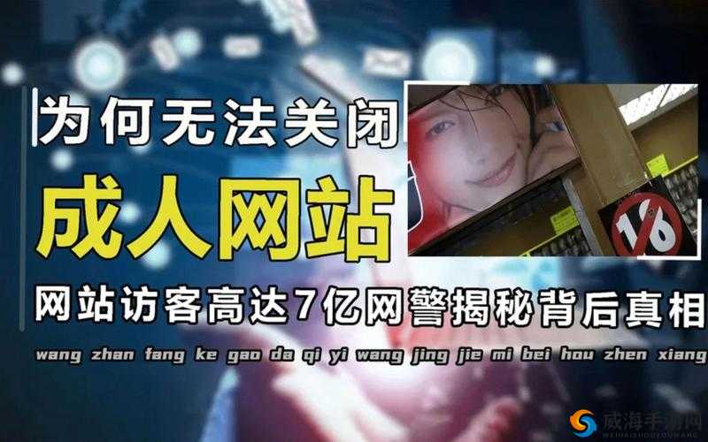 为什么有人喜欢访问成年人网站？这些网站对人们的生活有什么影响？