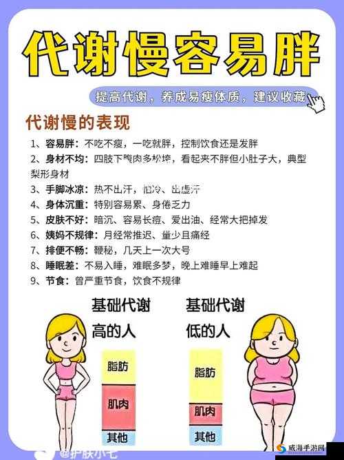 女性2o2o交流体内代谢变化：最新研究与健康建议全解析