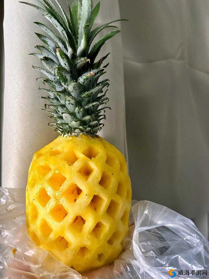 大菠萝福建官方人口2024究竟是多少？深度解析大菠萝福建人口数据