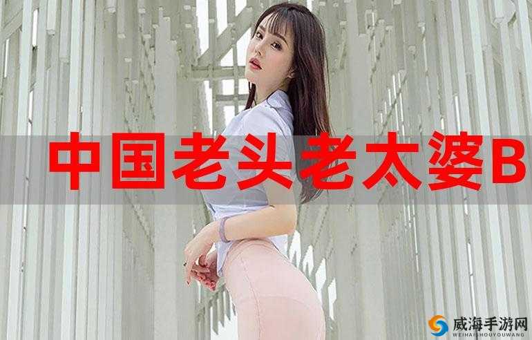 老太婆 BBW 搡 BBBB 搡搡搡搡：揭秘网络热梗背后的故事