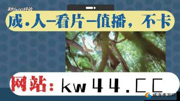 5g影院天天爽大陆一级：高清流畅观影体验，尽享极致视觉盛宴
