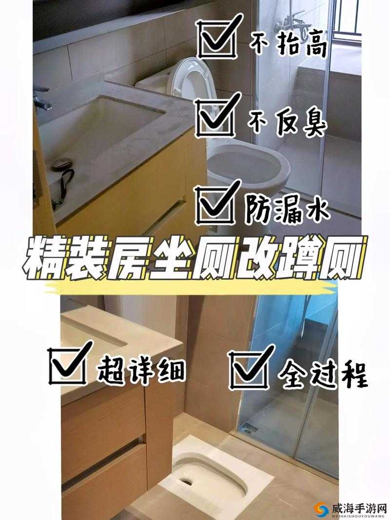 如何避免沦为精厕？掌握这些实用技巧，让你的生活更加舒适与卫生