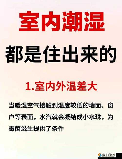 探索好紧好湿好热快进来的秘密：这一现象背后的原因与影响