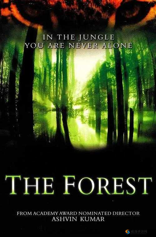 为什么意大利 1995 丛林如此神秘？它的背后隐藏着怎样的故事？