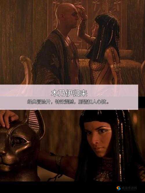 国产成年人91张津瑜在线观看：高清画质与精彩剧情完美结合，不容错过的视觉盛宴