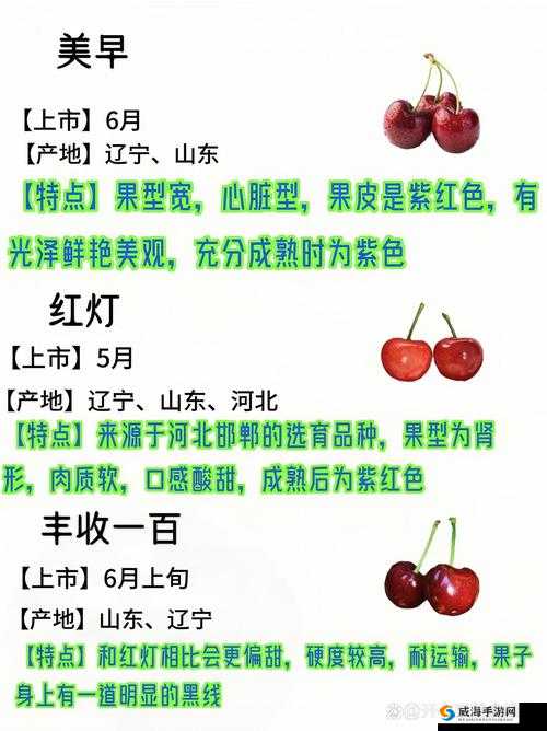 樱桃网现在叫什么？最新名称及平台特色全面解析，了解樱桃网更名背后的故事