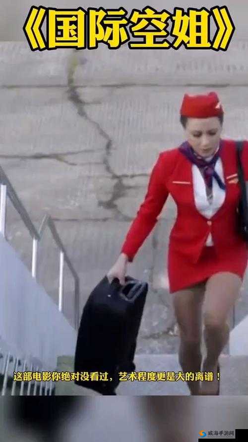 法国空姐电影2022最新版：揭秘空乘背后的故事与飞行生活的真实写照