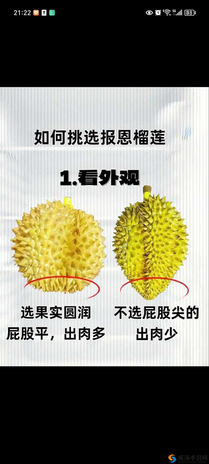 如何看待榴莲榴莲榴莲视频入口？它有哪些特点和优势？