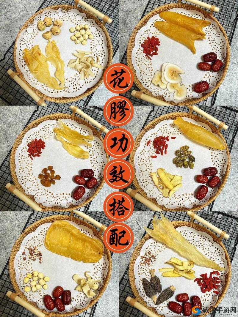 免费人马胶配方大全，让你轻松制作滋补养颜的美味胶品