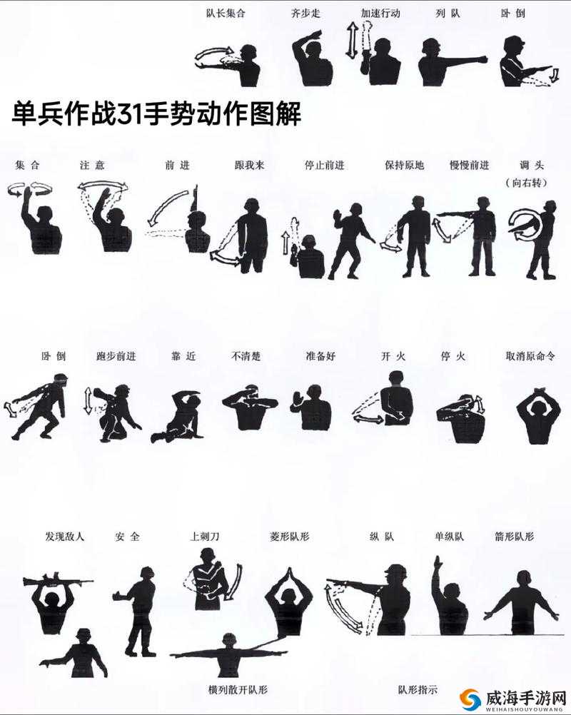 部队互相打手冲现象解析：背后的原因与影响探讨，如何有效应对与管理？