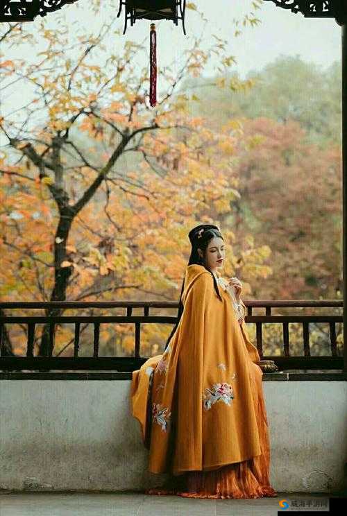 佳柔、文枫、儿媳雅君、素云之间有着怎样的故事和关系？快来一探究竟