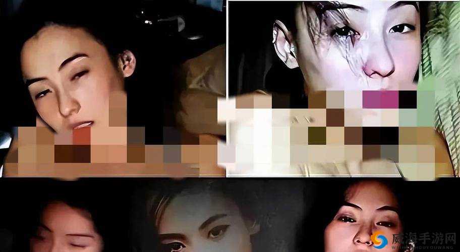 芝柏 8 年拍摄 1400 张照片，记录了什么？