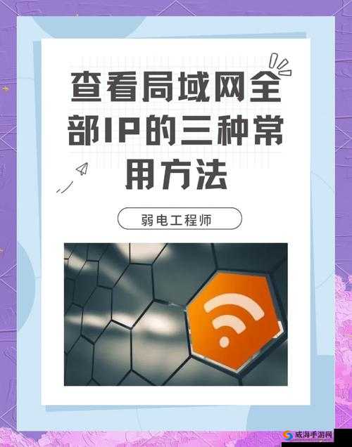 外网免费浏览入口，真的存在吗？如何找到它们？