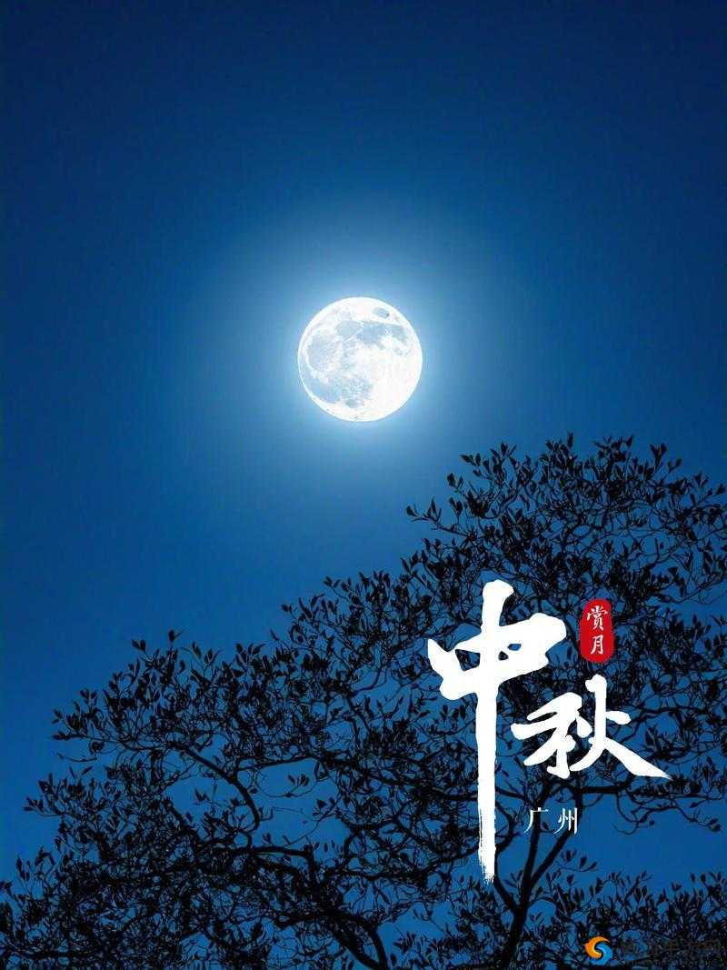 大勇小芳今晚月亮很圆，这背后有着怎样的故事？快来一探究竟