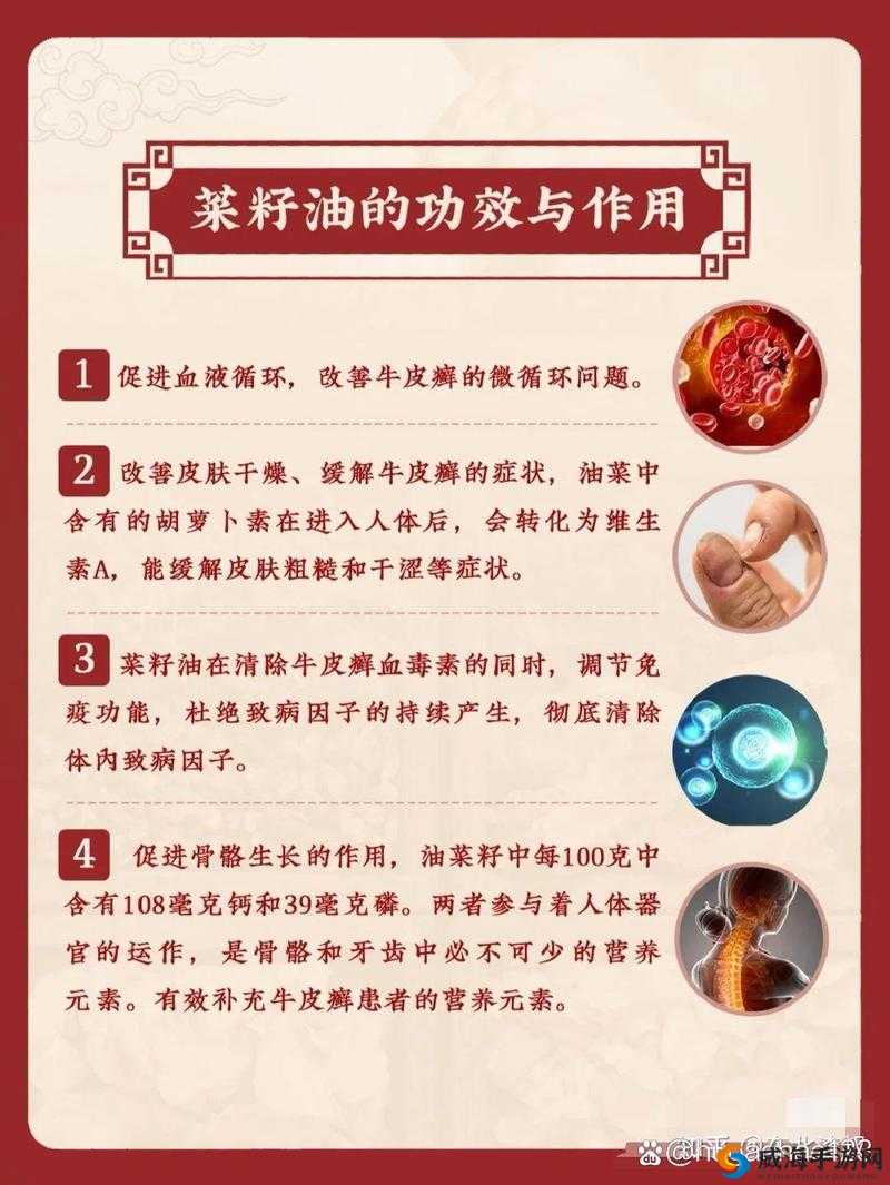 藏秘四十八油有何功效与作用？深入了解其神奇之处大揭秘